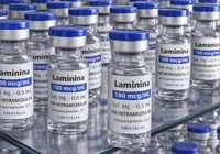 Pacientes brasileiros que receberam polilaminina fora de estudo clínico morreram