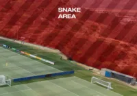 Perigo? CT da Suíça na Copa do Mundo é cercado por cobras venenosas