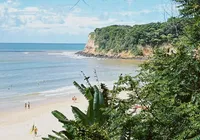 Praia da Pipa: um paraíso com falésias e golfinhos no litoral do Nordeste