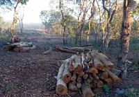 Prefeito de Catolândia é investigado por crime ambiental e usucapião imagem