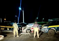 PRF apreende 800 kg de dinamite em caminhonete na BR-407 imagem
