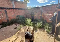 Professora é presa por suspeita de maus-tratos contra cães na Bahia