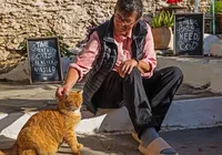 Projeto oferece casa e comida de graça em ilha para cuidador de gatos