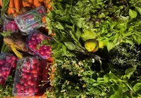 Salvador recebe encontro nacional sobre gastronomias brasileiras