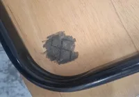 Suásticas nazistas são encontradas em sala da Escola de Música da Ufba imagem
