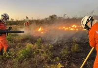 Trabalhador é queimado vivo em explosão de alojamento em fazenda na Bahia
