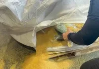 Vídeo: cocaína escondida em carga de soja é apreendida no Porto de Salvador