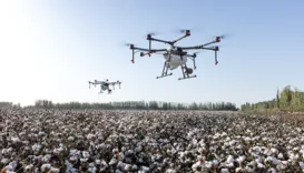 Como o uso da inteligência artificial está desbancando o agro baiano?