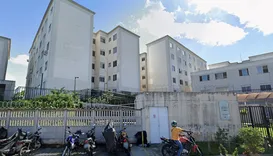 Denúncia aponta gatos em situação de abandono em condomínio de Salvador