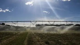 Tarifaço dos EUA põe em risco 36,5% das exportações do agro