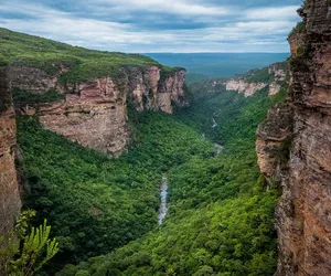 Vida silvestre ganha proteção na Chapada imagem