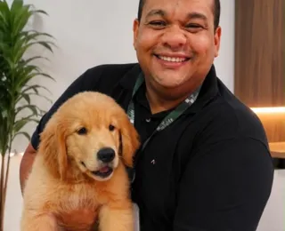 Animais precisam de proteção em dias de jogos do Brasil