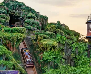 Atração da Disney fecha após incidente com criança