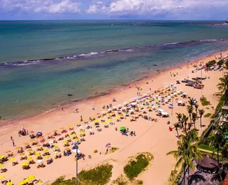 Brasil aparece entre os países com mais ataques de tubarão; veja ranking
