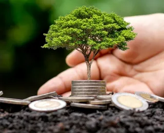 Brasil passa de relatórios de sustentabilidade obrigatórios para voluntários