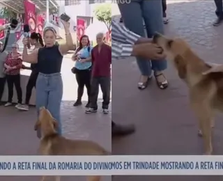 Cachorro “come” equipamento de repórter em programa ao vivo