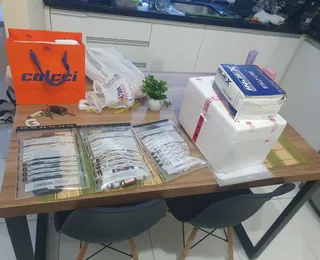 Canetas emagrecedoras avaliadas em R$ 164 mil são apreendidas na Bahia