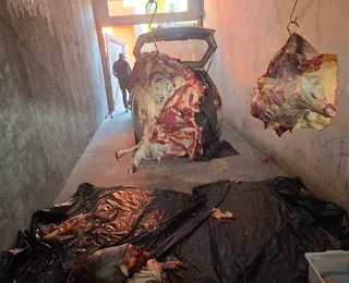 Carne de gado furtado era comercializada por grupo alvo de operação na Bahia