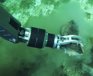 Cemitério de baleias a 7 mil metros de profundidade é descoberto no oceano