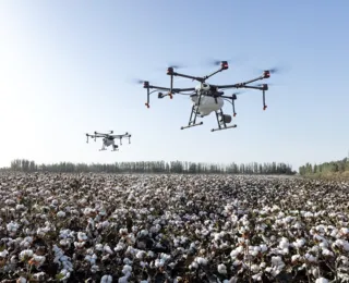 Como o uso da inteligência artificial está desbancando o agro baiano?