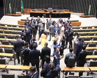 Conheça os deputados da Bahia com mais mandatos no Congresso e na Alba