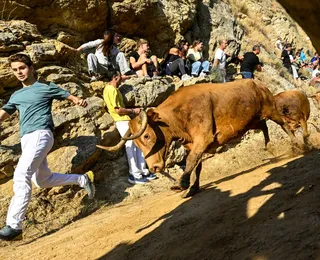 Correia, touros e penhasco: veja imagens do Encierro del Pilón na Espanha