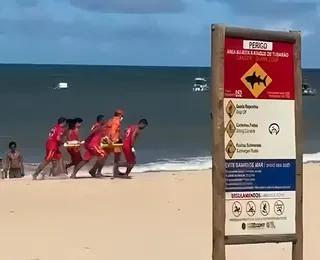 Criança é vítima de ataque de tubarão na Praia de Piedade, em Recife