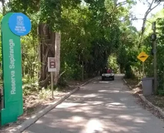 Devastação em reserva ambiental da Praia do Forte é apurada pelo MPF