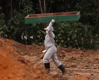 Documentário revela bastidores inéditos da CPI da Covid; confira