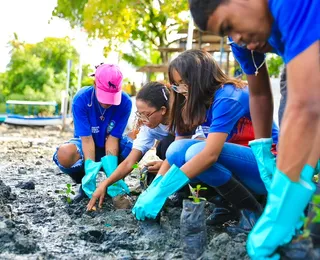 Estudantes plantam mudas de manguezal em área do VLT de Salvador
