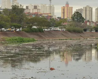 Estudo revela contaminação generalizada no Rio Tietê com presença de cocaína