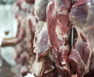 Excesso de carne bovina em frigorífico derruba o preço do boi na Bahia