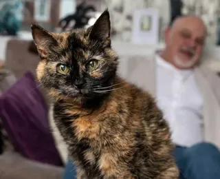 Gata de 31 anos deve entrar no Guinness Book como mais velha do mundo