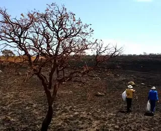 Governo Federal se reúne para mitigar impactos do El Niño no Nordeste