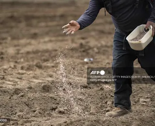 Guerra do Oriente Médio ameaça demanda de fertilizantes no Brasil