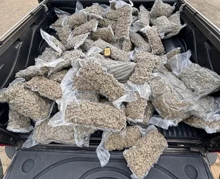 Homem é preso com 100 kg de maconha na Bahia destinada à facção do RJ