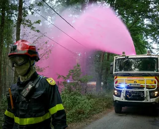 Incêndio histórico destrói floresta de Fontainebleau perto de Paris