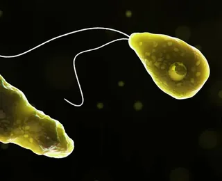 Mudanças no clima estão disseminando amebas comedoras de cérebro
