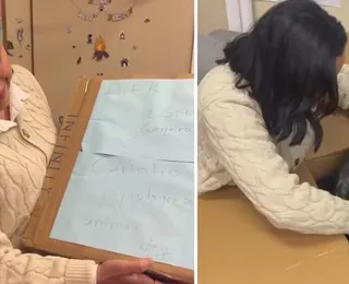 Mulher é indiciada após enviar corpo de cachorro para gabinete de vereadora