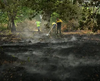 Onda de calor deixa mais de 7,3 mil mortes em excesso na França em 2026