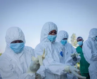 Oxford inicia teste em humanos de vacina contra nova cepa do ebola