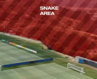 Perigo? CT da Suíça na Copa do Mundo é cercado por cobras venenosas