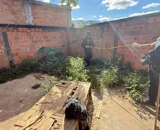 Professora é presa por suspeita de maus-tratos contra cães na Bahia
