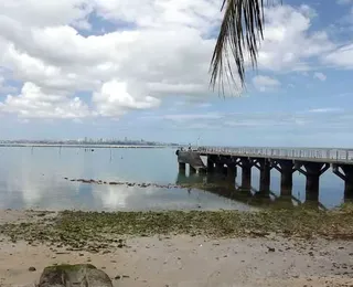 Projeto Mares salva corais em Vera Cruz