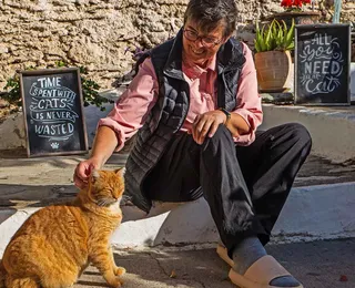 Projeto oferece casa e comida de graça em ilha para cuidador de gatos
