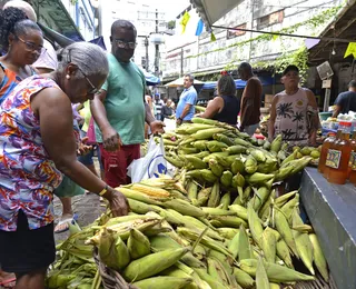 Receitas de São João: dicas para escolher o melhor milho e amendoim na feira