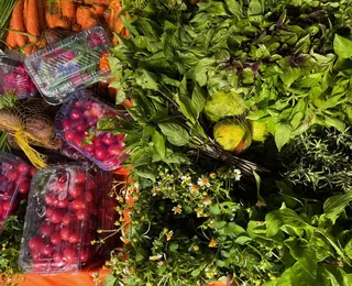 Salvador recebe encontro nacional sobre gastronomias brasileiras