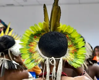 Universidade Indígena: entenda como será a nova instituição