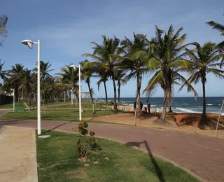 Ventania atinge praia de Salvador com rajadas de até 43,2 km/h