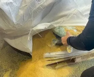 Vídeo: cocaína escondida em carga de soja é apreendida no Porto de Salvador